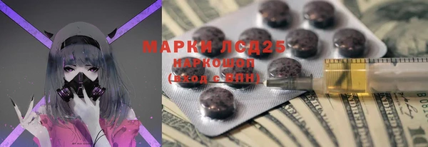 прущие грибы Каменногорск