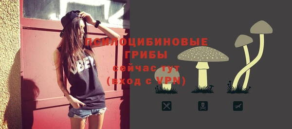 бошки Каменка