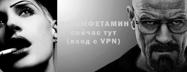 прущие грибы Каменногорск