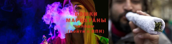 прущие грибы Каменногорск