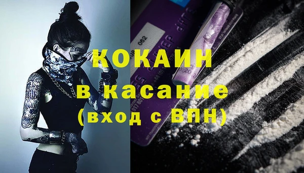 прущие грибы Каменногорск
