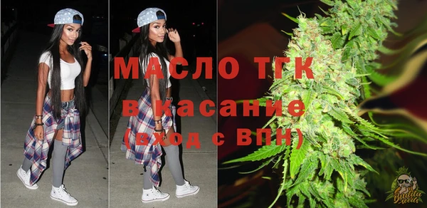 прущие грибы Каменногорск