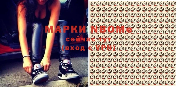 прущие грибы Каменногорск