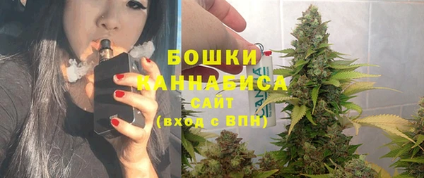 бошки Каменка