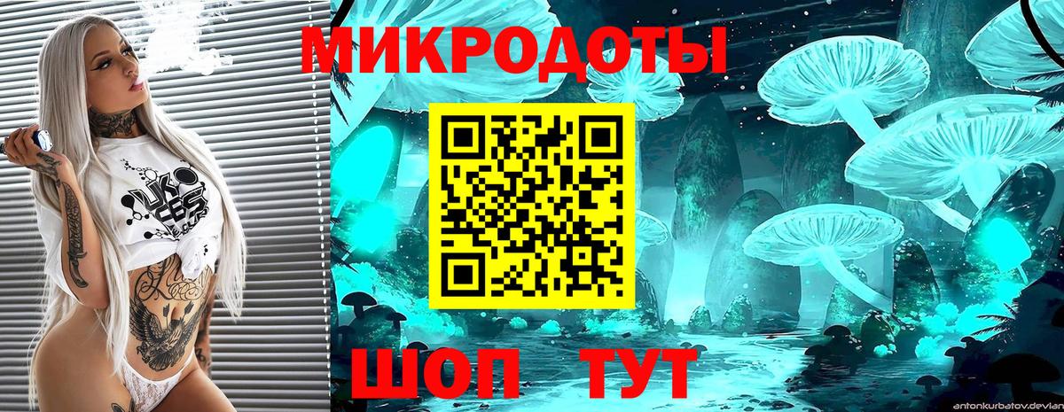 Галлюциногенные грибы мицелий  Вход с VPN  Каменка  Псилоцибиновые грибы GOLDEN TEACHER 