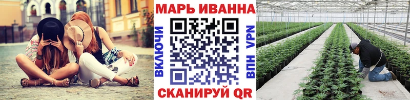 Бошки марихуана сатива  закладка  ОМГ ОМГ tor  Каменка 